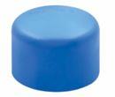 CAP DN25MM (P)