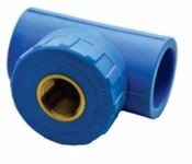 TE DN25MM X R.1/2 FEMEA (P)